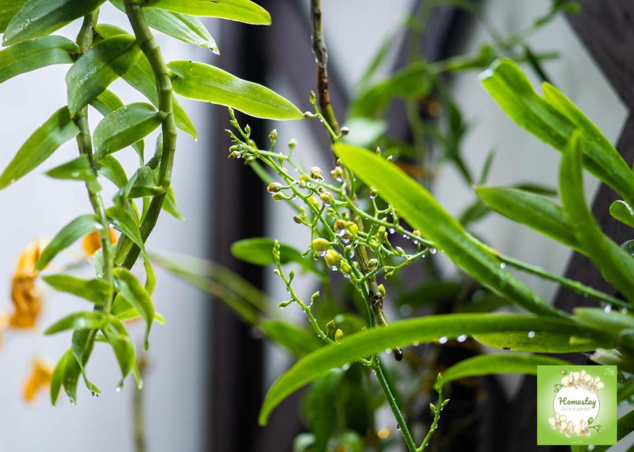 Can Tho Orchid Garden Homestay Екстериор снимка
